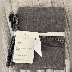 Pottery barn set of 2 euro shams